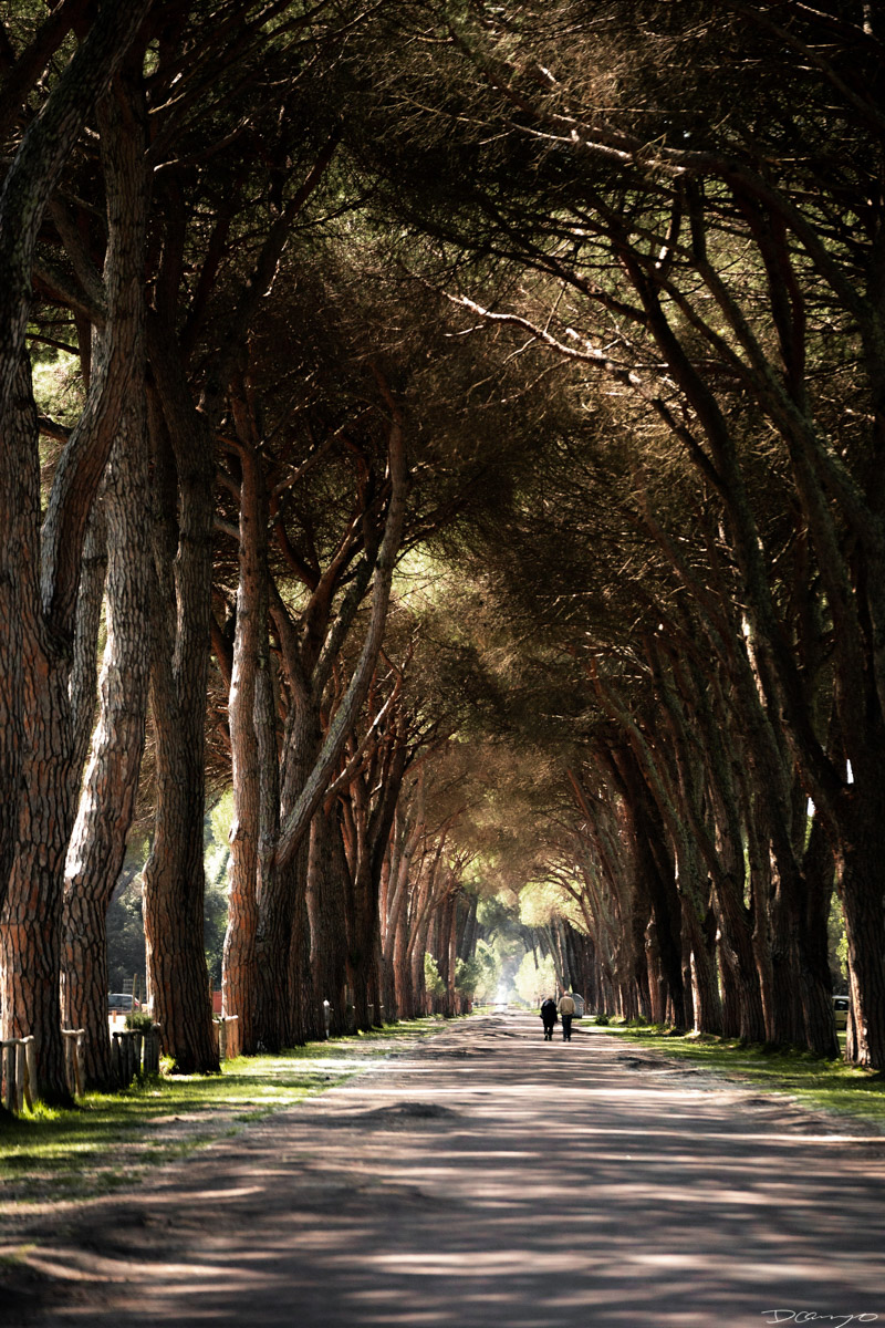 Photos from Rome, Venice, Florence, Tuscany, Manarola, Vernazza, Riomaggiore, Verona, Trento, and the Italian Alps in Spring of 2022.
